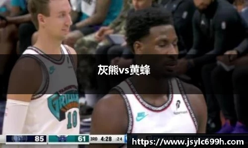 灰熊vs黄蜂